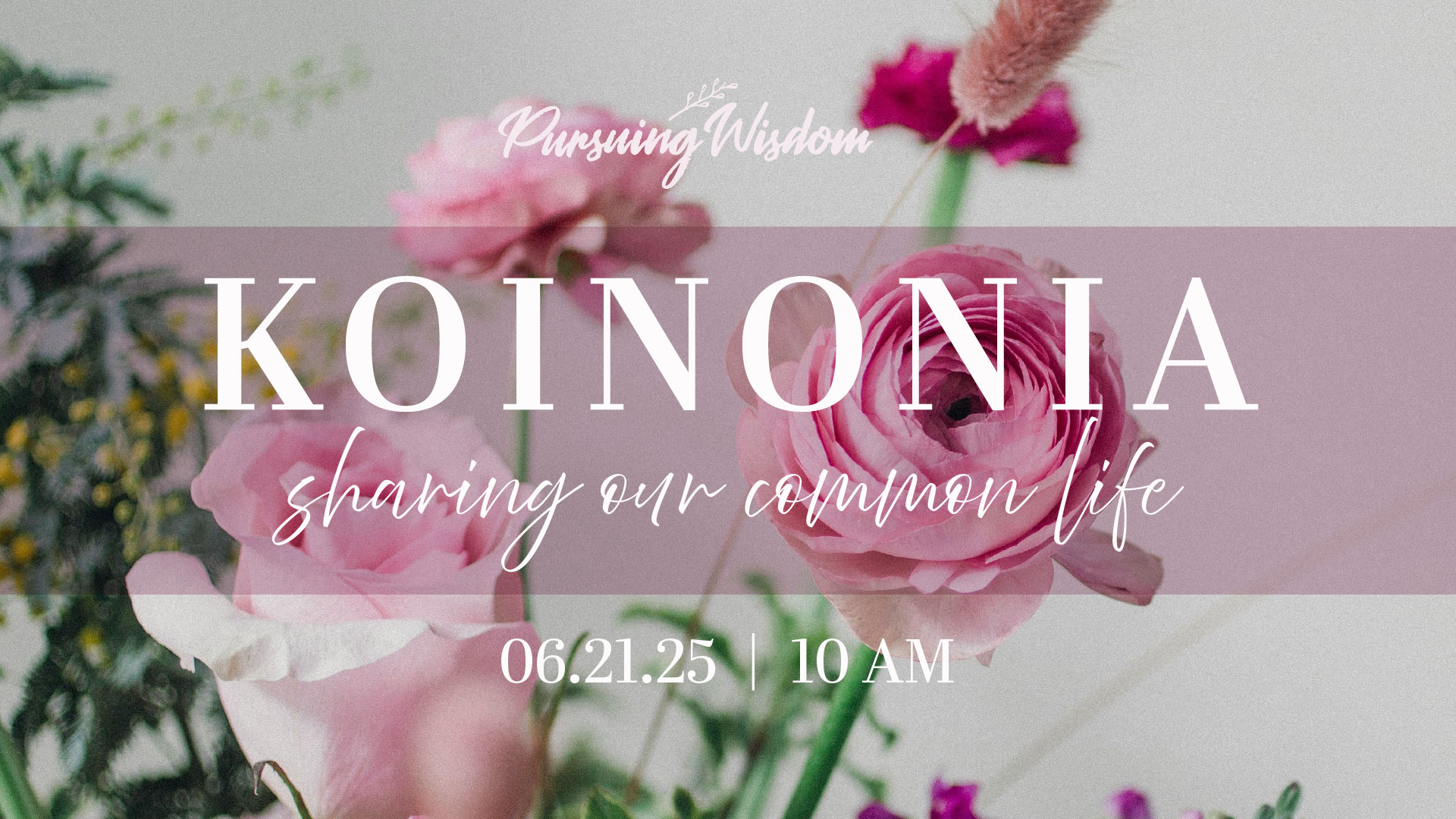 pursuing-wisdom_summer-event_v2
